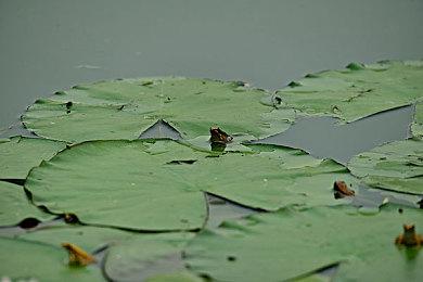 解密逃脱恐怖游戏《灵屋》将于今年夏季发售 